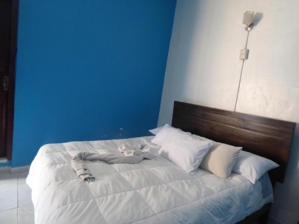 Qosqollay Plaza De Armas Bed & Breakfast Cusco Dış mekan fotoğraf